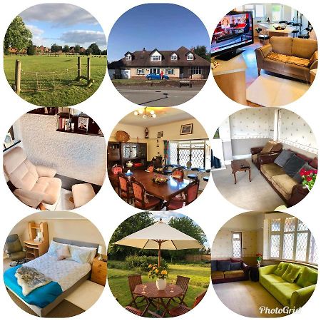Amazing Quiet Garden House Near London Luton Airport Luton (Bedfordshire) Exterior foto